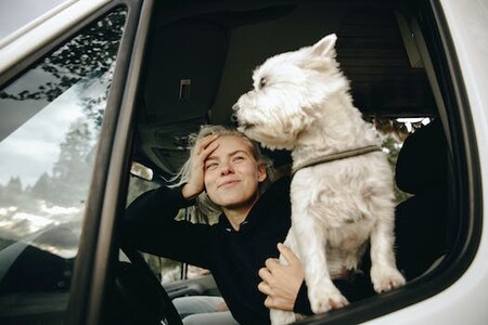 The Complete Guide to Traveling Safely with Your Furry Friend